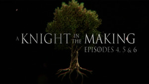 Episodes 4, 5, and 6