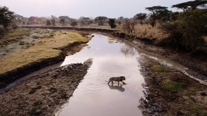 Purgatory Katavi: Africa's Fallen Paradise