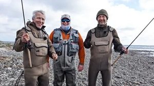 En havørred i Limfjorden