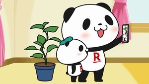 House Plant