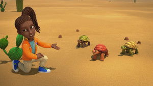 Sandman and the Tortoise