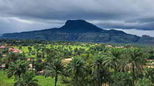 Guinea’s Adventurous Trade Routes