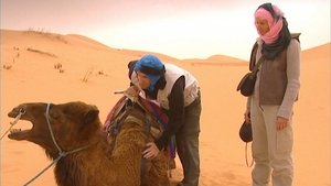 Episode 82