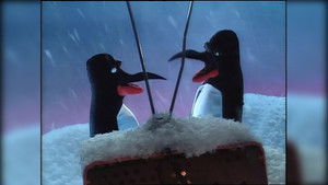 Rain, Beakmania & Volcanoes