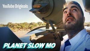 How to Drive a Tank