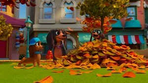 Doggie Bags / Fetch!