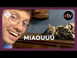 Episode 78
