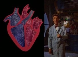 Heart
