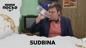 2313 Sudbina