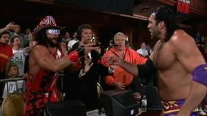 May 17, 1993 - Raw #17