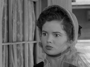 The Rosebush of Tombstone