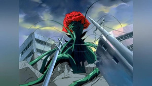 When the Rose Petals Fall, Magic Quietly Disappears