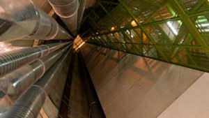 What Are We Really Made Of?