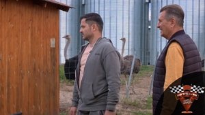 Episode 18