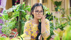 Katha's Distress Over Her Plants