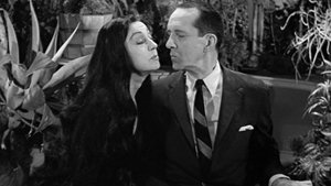 Morticia, the Matchmaker