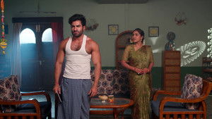 Bhanu's Revenge Plot