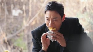 Episode 229