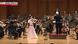 Violin Concerto in D major by Beethoven