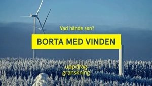 Den sista ålen