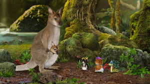 Help the Wallabies! / Help the Slimy Slug!
