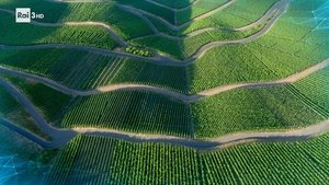 La nuova agricoltura