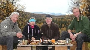 En elg i Sverige