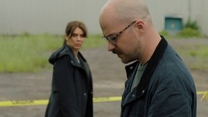 Episode 8