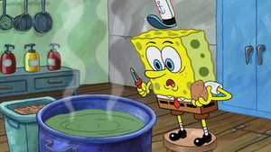 There's a Sponge in My Soup