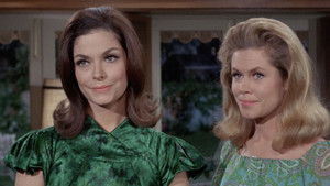 Nobody But a Frog Knows How to Live