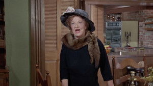 Bewitched, Bothered and Infuriated