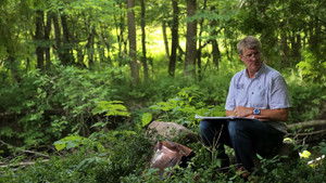 Swiss Family Surprise