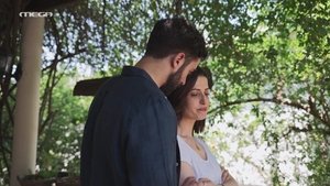 Episode 206