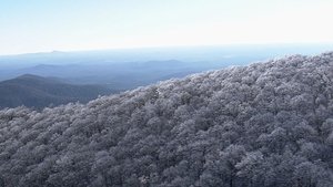 Georgia