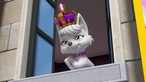 Mighty Pups Stop the Mighty Queen