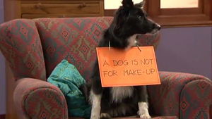 Annie’s Protest
