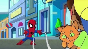 That Drone Cat
