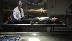 Who Killed Jane Doe 59?