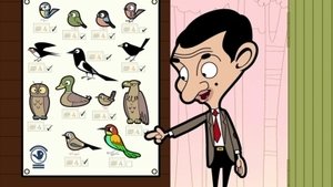 Rare Bird