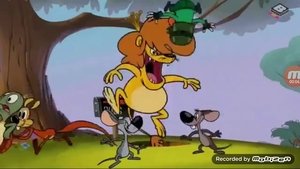 Hamsters