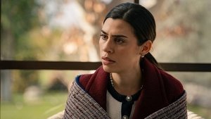 Episode 278