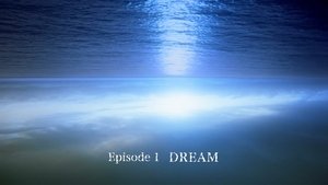 DREAM