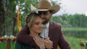 Fall Down, Get Back Up