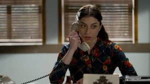 Episode 113