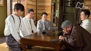 Episode 29