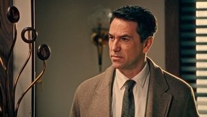 Episode 345