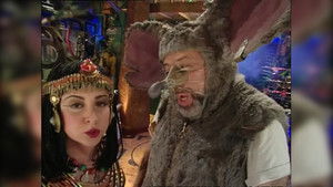 Pigs, Beakmania & Sound Frequency