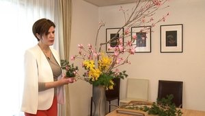 Japanophiles: Nicoleta Oprisan