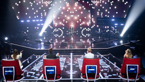 Blind Auditions (3)