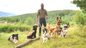 Working Animals